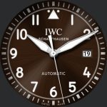 IWC W1 Automatic 35 Edition Antoine De Saint Exupery