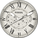 Fossil Grant White