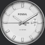 Fossil Wakefield White
