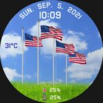 USA Flags And Animated Eagle