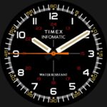 Timex Military Sprite World Timer