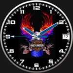 WDS Blue Flame Harley Davidson Logo