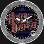 WDS New Harley Davidson Watch