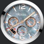 Fossil Zoom